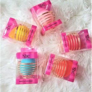 Blending Sponges with Holder