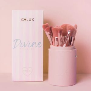 Divine 12pcs Brush Set