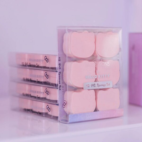 12 Pc Sponge Set